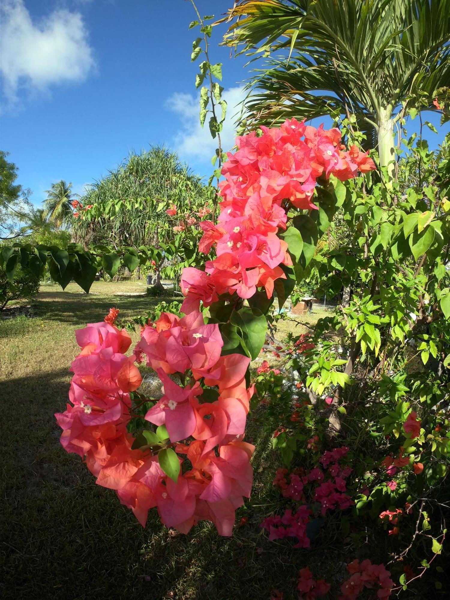 Moana Breeze Rangiroa - Rental Car Included - Air Conditioning - Wi-Fi Tiputa 외부 사진